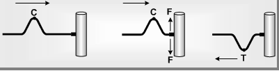 371_Reflection and Refraction of waves1.png